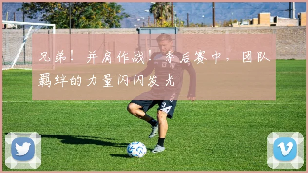 兄弟！并肩作战！季后赛中，团队羁绊的力量闪闪发光