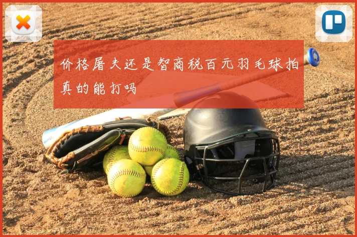 价格屠夫还是智商税百元羽毛球拍真的能打吗