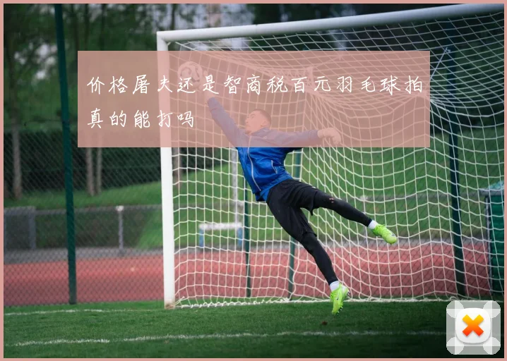 价格屠夫还是智商税百元羽毛球拍真的能打吗